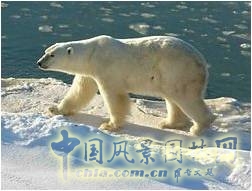 王曉璘 生態(tài)社區(qū) 城鄉(xiāng)改造 在地理論 環(huán)境保護(hù)