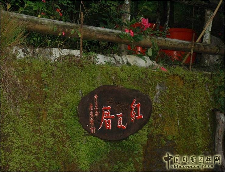 王曉璘 生態社區 在地理論 災后重建 臺灣社區