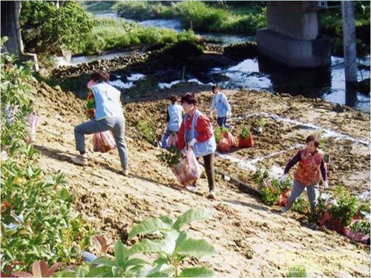 王曉璘 生態社區 在地理論 災后重建 臺灣社區
