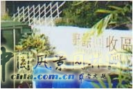 王曉璘 生態社區 在地理論 災后重建 臺灣社區