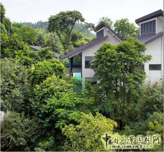 新山水 體驗式景觀 山水城市 山水文化 古典園林