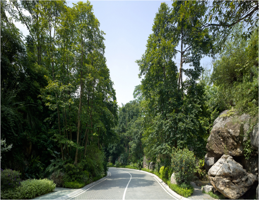 新山水 體驗(yàn)式景觀 山水城市 山水文化 古典園林