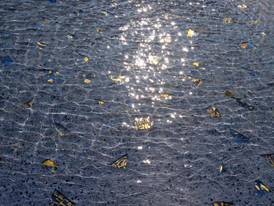 法國維勒班LazareGoujon廣場