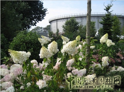 Westergasfabriek文化公園