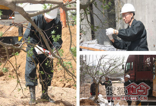 枡野俊明 禪意園林 景觀設計 海信天璽 造園設計