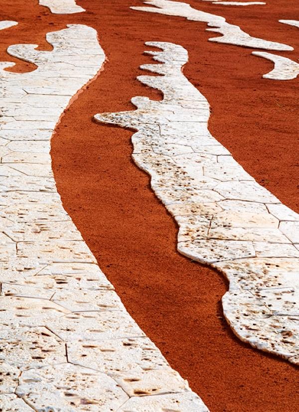 植物園 澳大利亞花園 Cranbourne皇家植物園 植物景觀