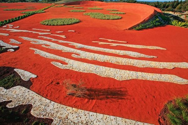 植物園 澳大利亞花園 Cranbourne皇家植物園 植物景觀