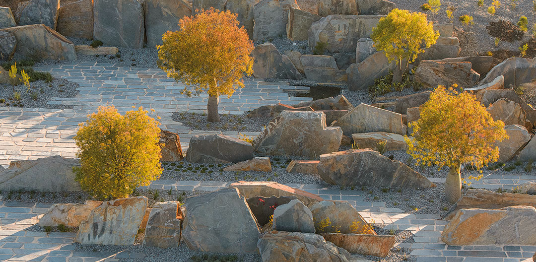 植物園 澳大利亞花園 Cranbourne皇家植物園 植物景觀