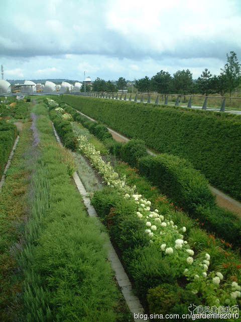 泰晤士河壩公園