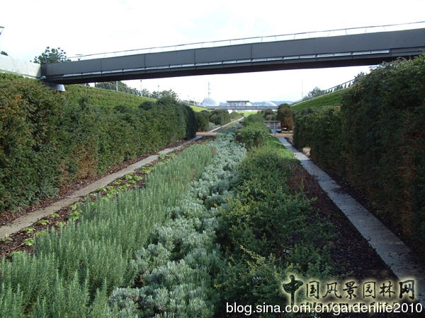 泰晤士河壩公園