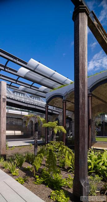 澳大利亞帕丁頓水庫花園