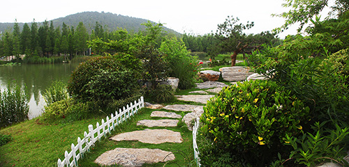 保護原生態環境