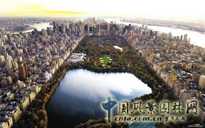 在曼哈頓島占地340公頃的中央公園