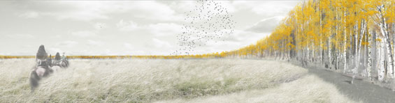 柏林機(jī)場規(guī)劃