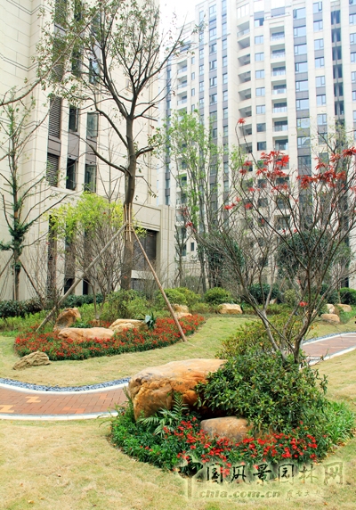 住宅景觀獎  躍馬園林  金茂梅溪湖