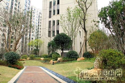 住宅景觀獎  躍馬園林  金茂梅溪湖