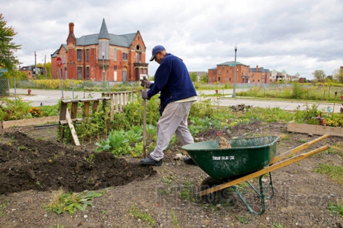 底特律 城市收縮 城市建設 城市規劃 中國風景園林網