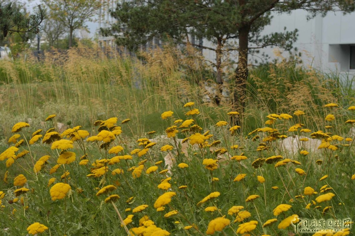 法國(guó)雷諾科技研發(fā)中心公園