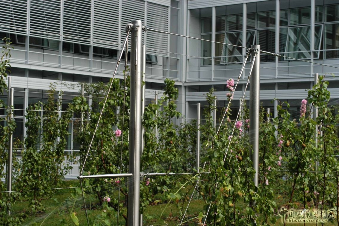 法國(guó)雷諾科技研發(fā)中心公園