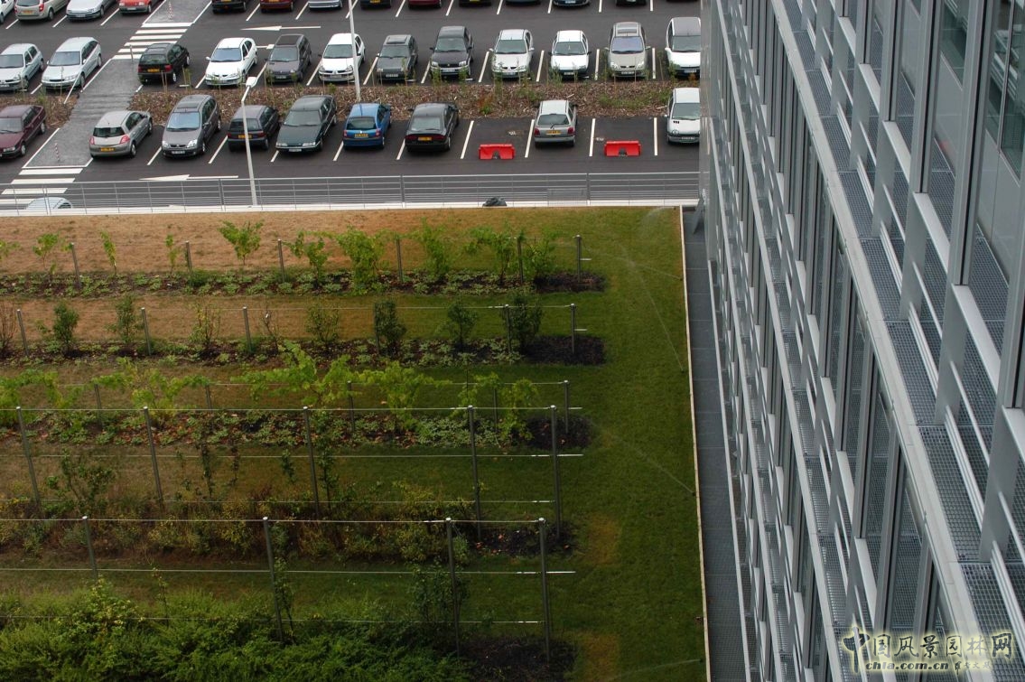 法國(guó)雷諾科技研發(fā)中心公園