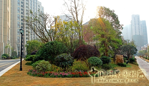 住宅景觀獎 躍馬園林 金茂?梅溪湖