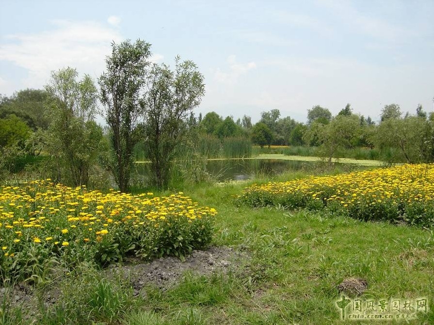 霍奇米爾科 生態(tài)公園