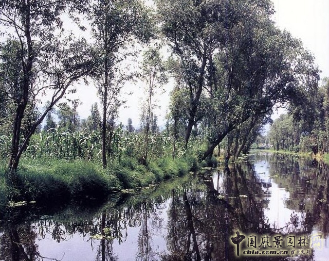 霍奇米爾科 生態(tài)公園