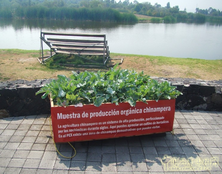 霍奇米爾科 生態(tài)公園
