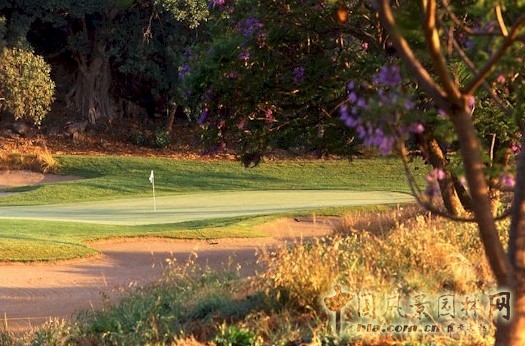馬里那爾科 malinalco