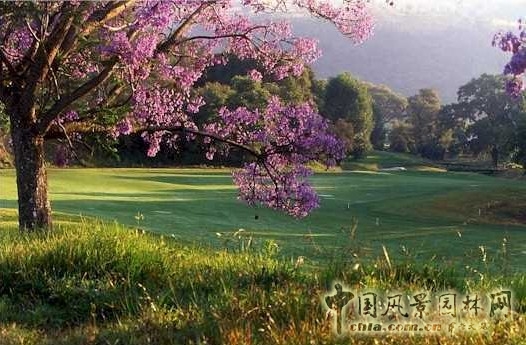 馬里那爾科 malinalco