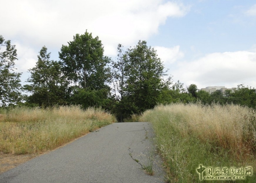哥德魯普河公園