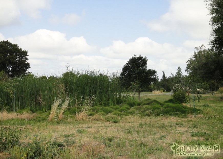 哥德魯普河公園