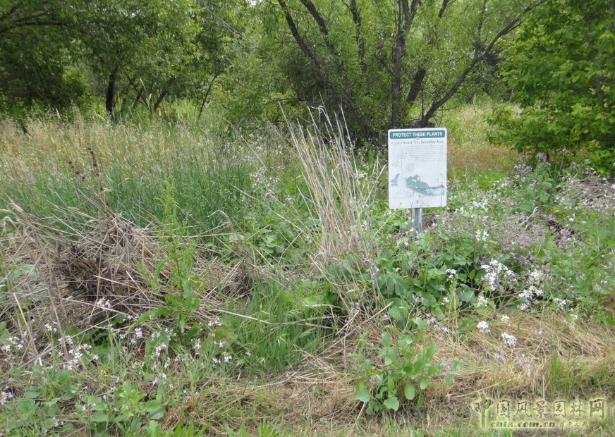 哥德魯普河公園