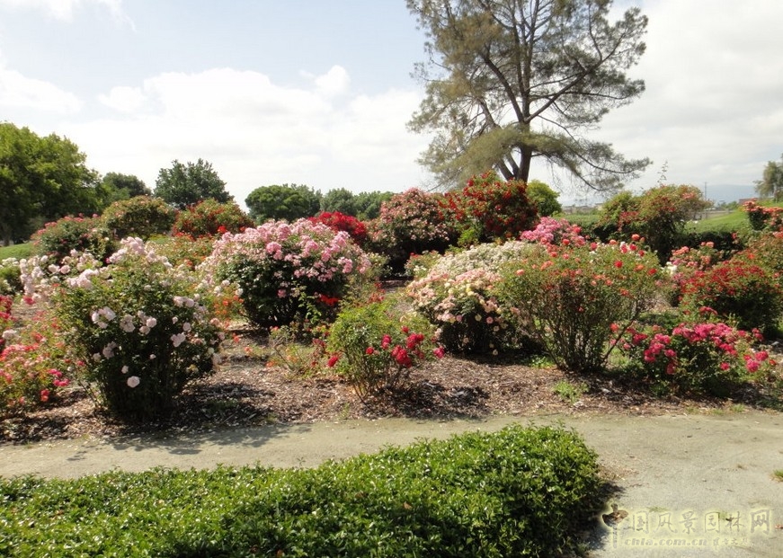 哥德魯普河公園