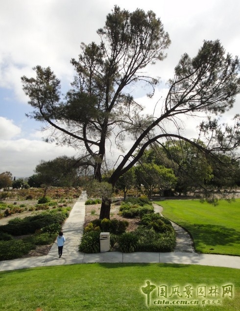 哥德魯普河公園