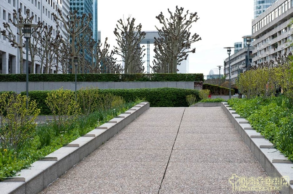 達利大道步行街