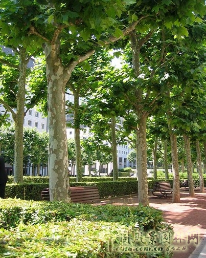 達利大道步行街