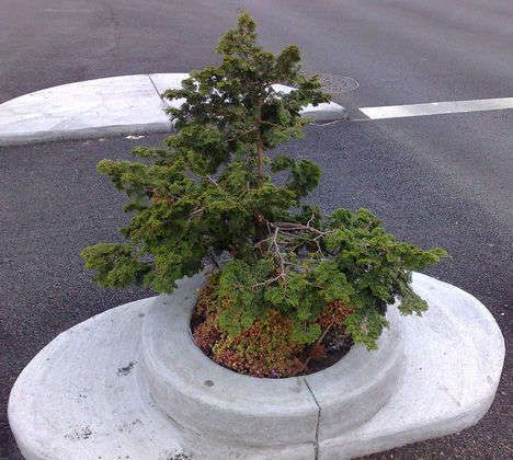 波特蘭磨坊盡頭公園