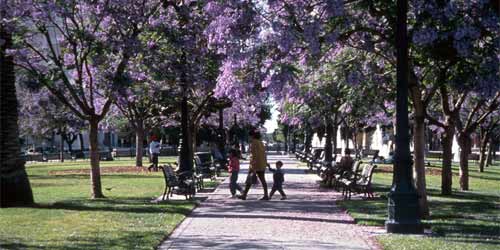 圣何塞廣場公園