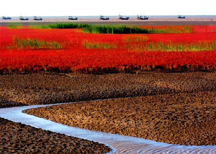 黃河濕地 濕地景觀 濕地保護