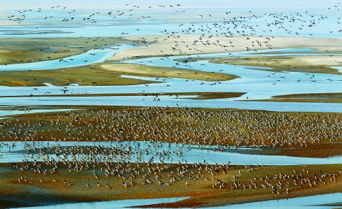 黃河濕地 濕地景觀 濕地保護(hù)