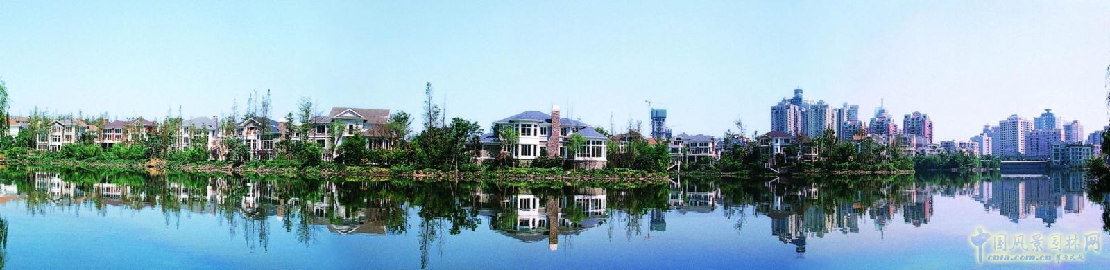 重慶龍湖香樟林