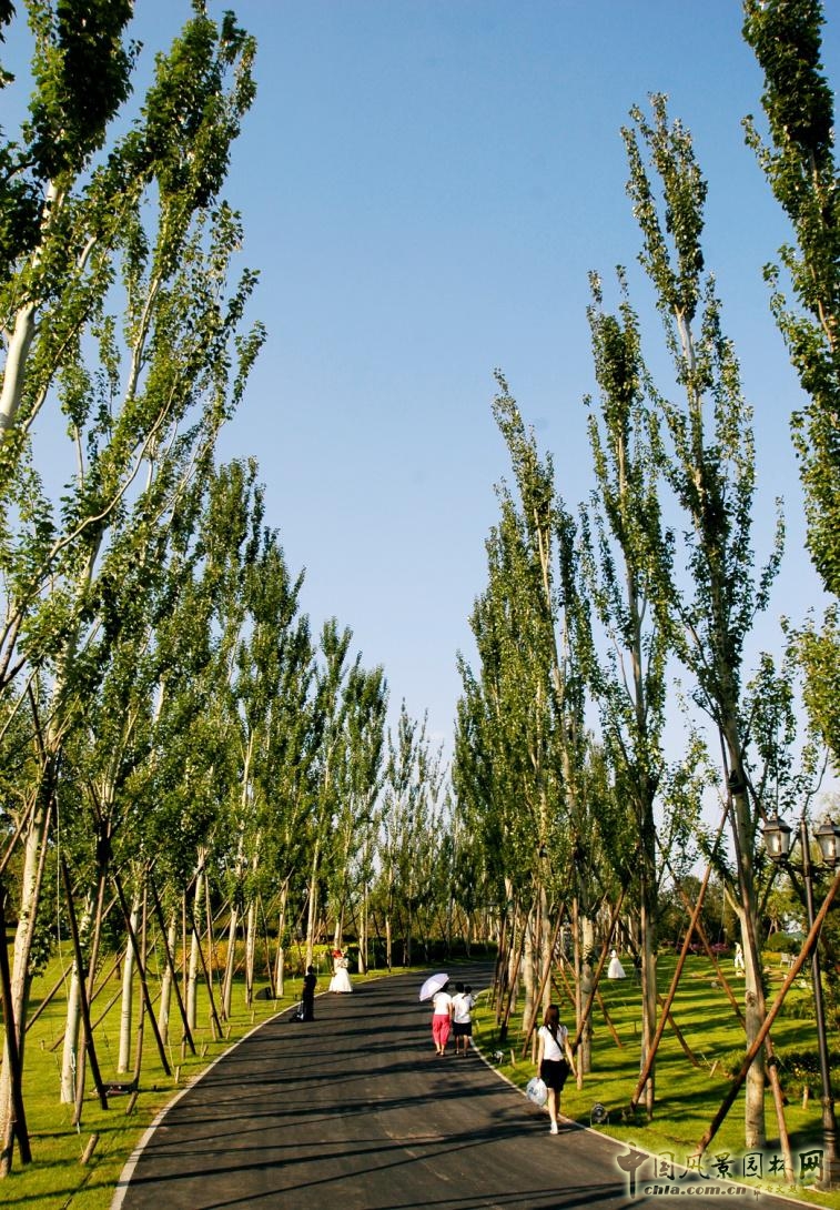 北京龍湖香醍漫步