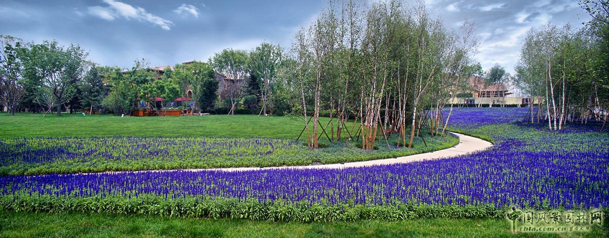 北京龍湖花盛香醍