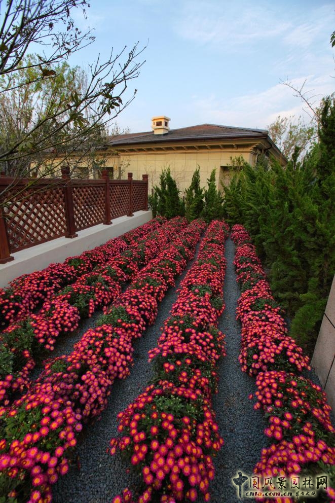 煙臺龍湖葡醍海岸