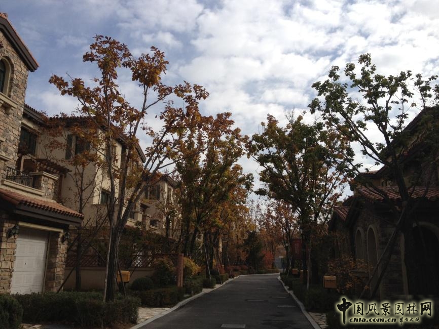 沈陽龍湖滟瀾山