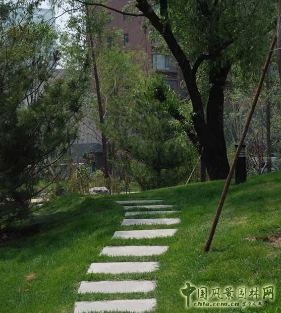 建筑周邊種植速生大喬木遮蔽高樓，減少壓迫感。