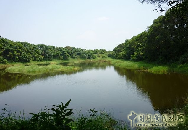 臺(tái)北桃園埤圳濕地