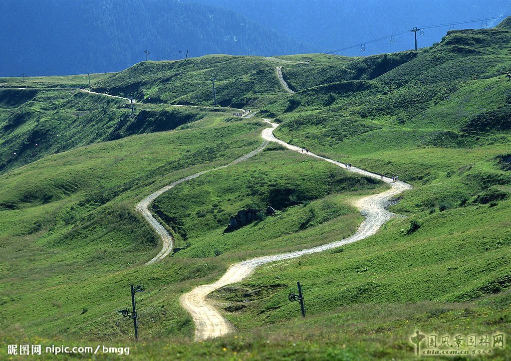 住宅景觀增值服務(wù)