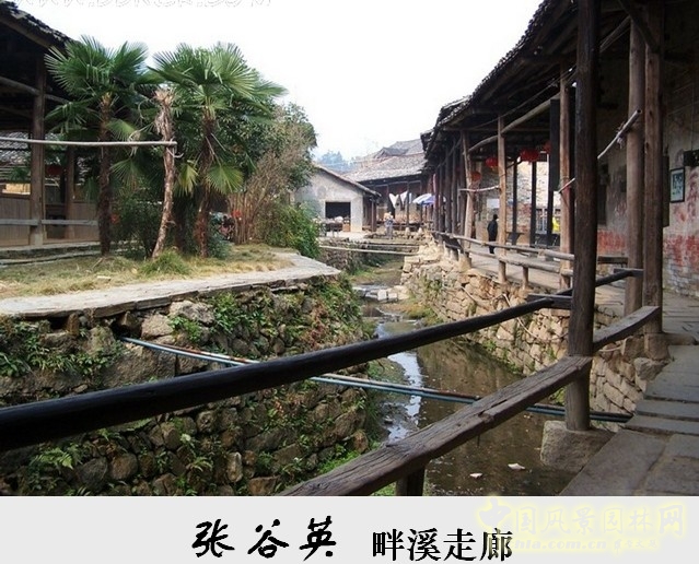 胡希軍 非物質文化遺產 張谷英村 傳統禮俗